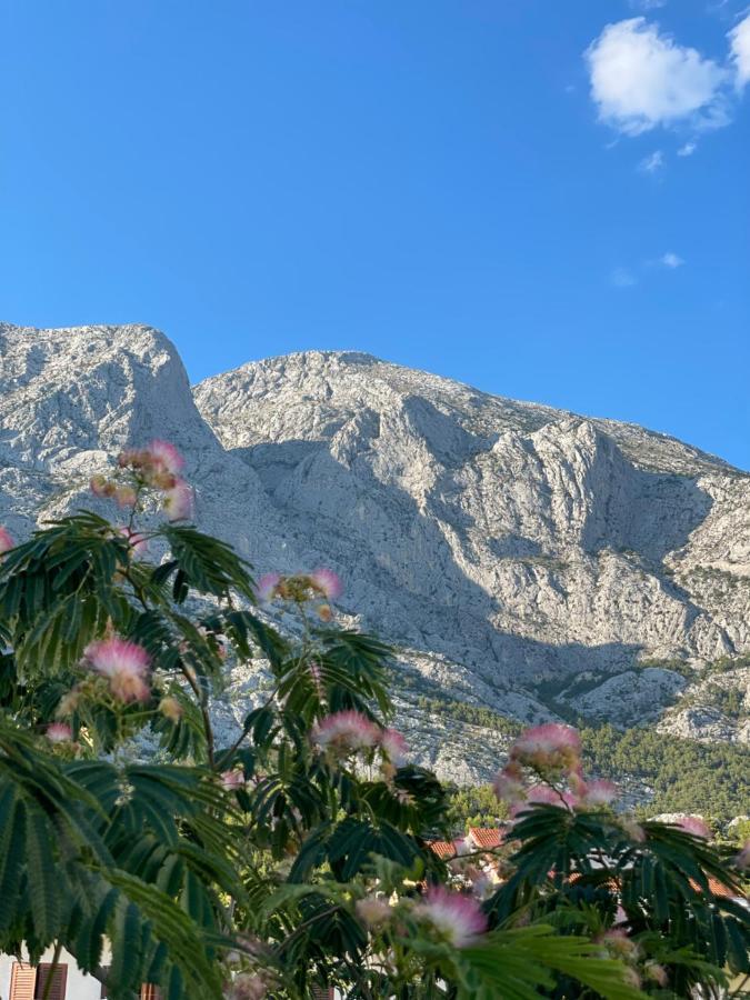 Heaven'S View Apartments Baška Voda Eksteriør bilde